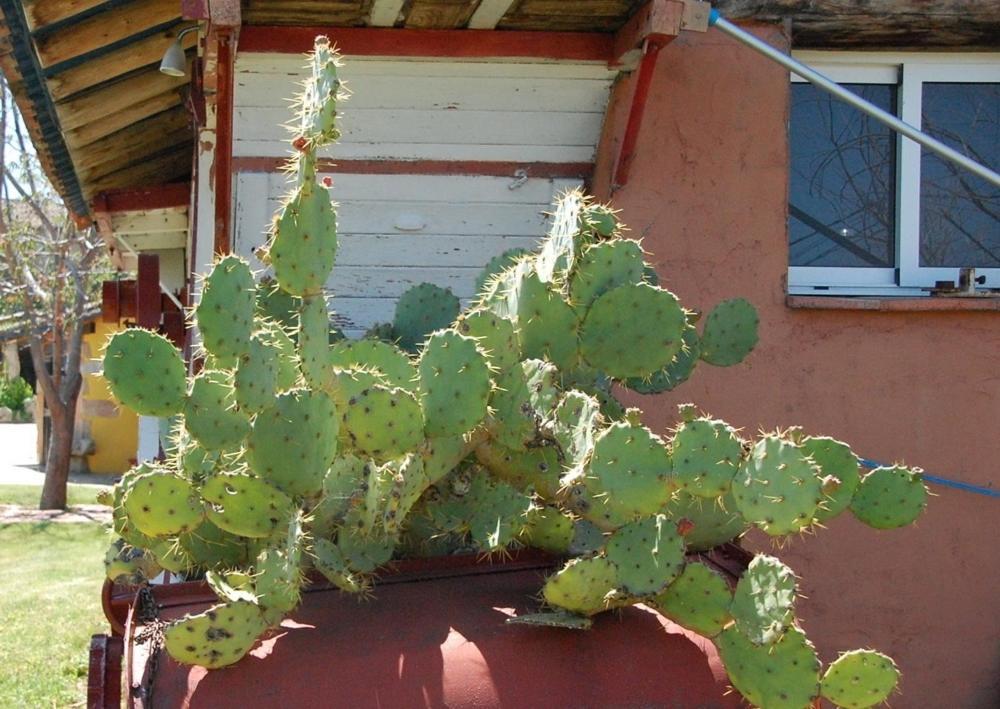 Posada Tresmentiras Aldeanueva del Camino Exteriér fotografie